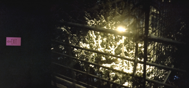 31 ONYX 5 YEARS, Fuchs2